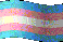Trans Rights :)